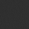 PL56100 Black